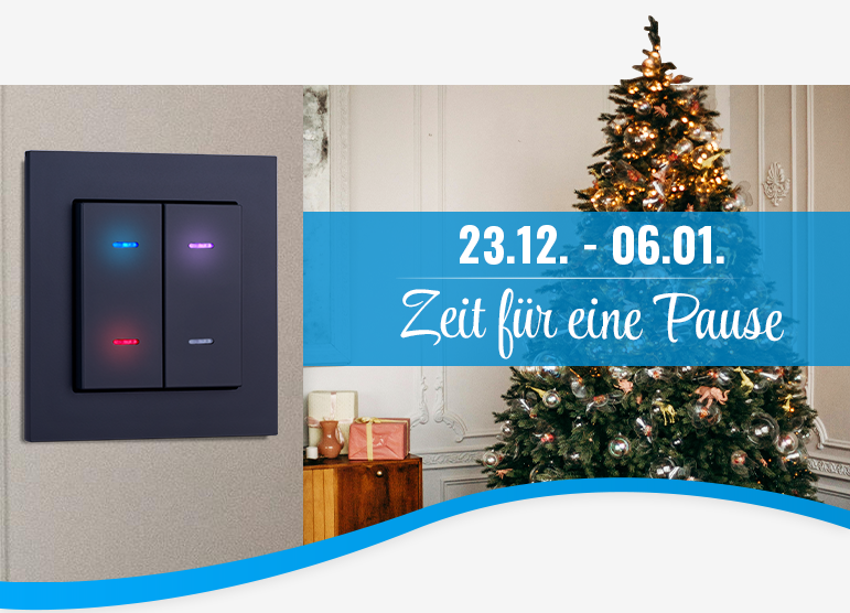 Wz Weihnachten 2024 12 11 003 De