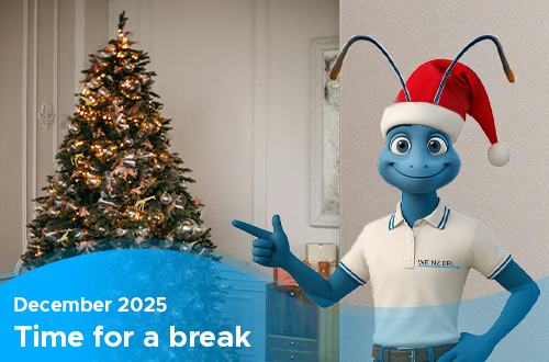 Time for a break 2025