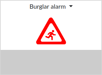 This function monitors a burglary alert.