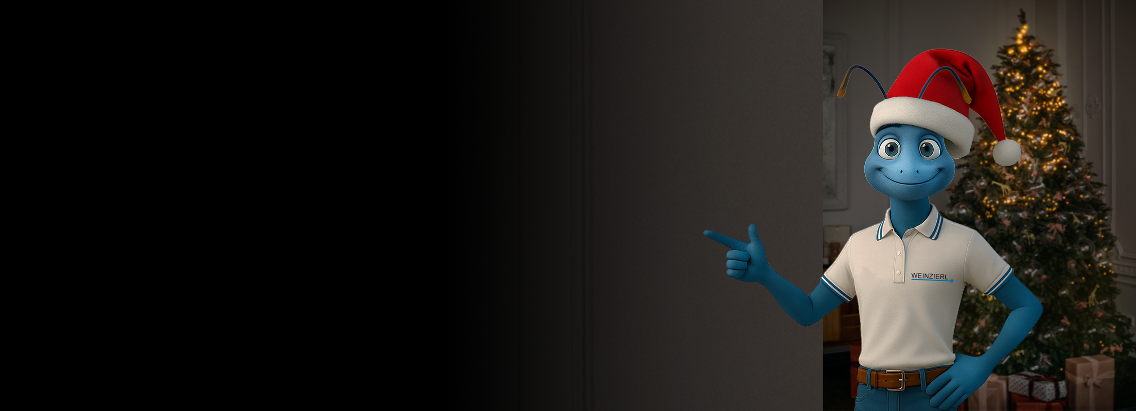 Wz Pause 2025 11 25 003